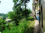写真：泰緬鉄道の車窓から楽しむカンチャナブリの風景