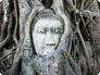 写真：ワット・プラ・マハタートの境内にある仏像の頭