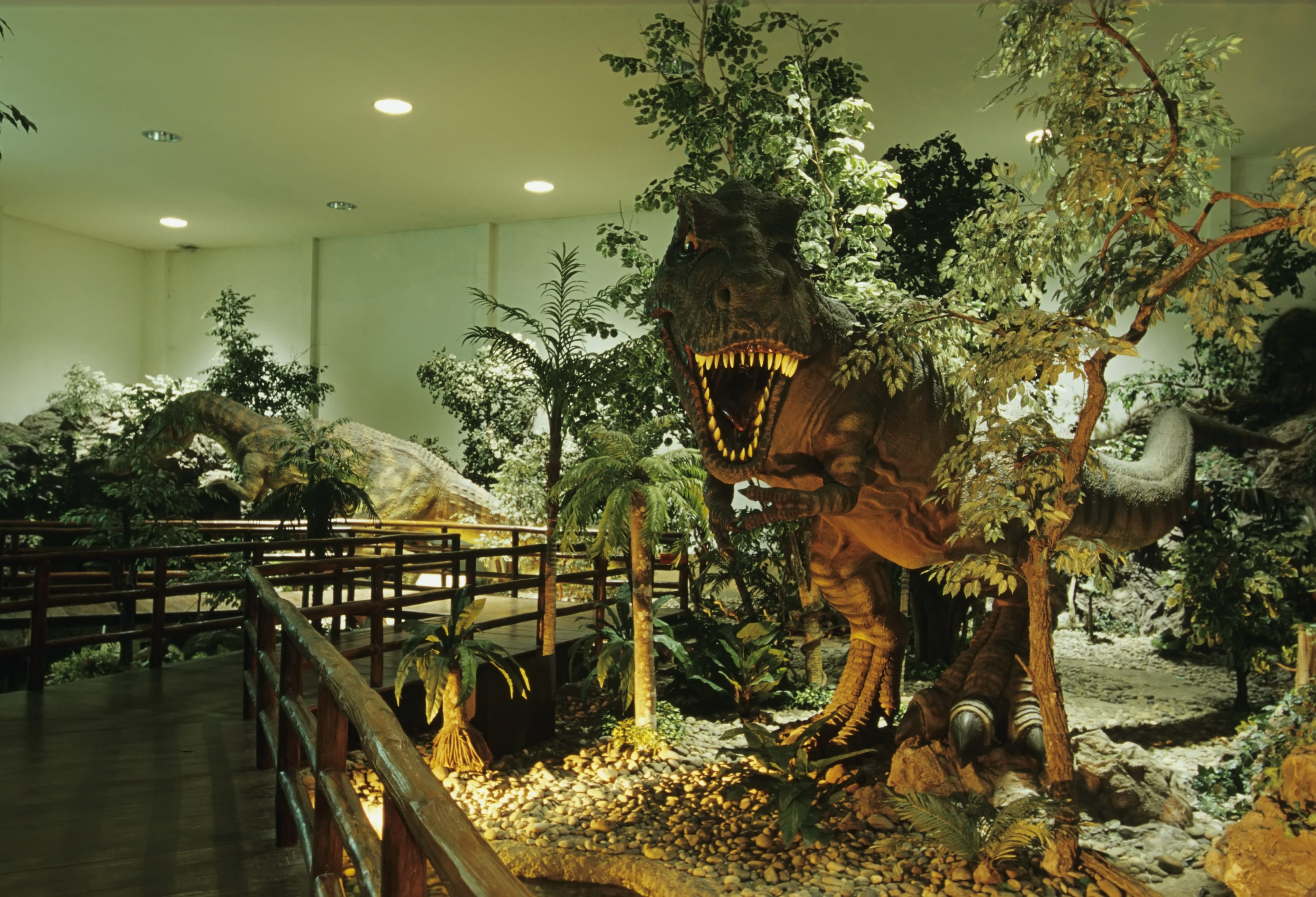 プーウィアン国立公園と恐竜博物館 公式 タイ国政府観光庁